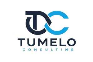 tumelo concept 1 interlocking horizon v2
